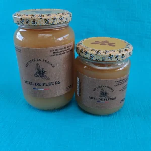 Miel toutes fleurs de printemps